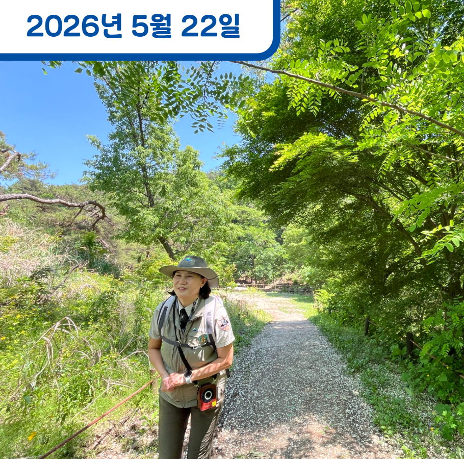 집단 치유 프로그램 (숲으로 로그人)